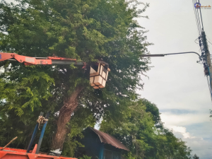 ภาพการปฏิบัติงานซ่อมบำรุง กองช่าง เทศบาลตำบลอ่างศิลา ระหว่างวันที่ 16-31 สิงหาคม 2568