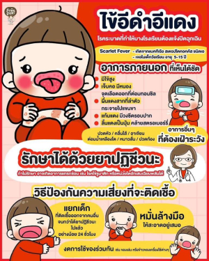 วารสาร/แผ่นพับ สาระความรู้‼️ โรคไข้อีดำอีแดง ‼️