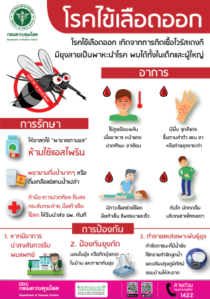 ❗️การป้องกันไม่ให้ป่วยเป็นโรคไข้เลือดออก