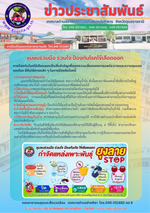 ชุมชน ร่วมมือ ร่วมใจ ป้องกันโรคไข้เลือดออก