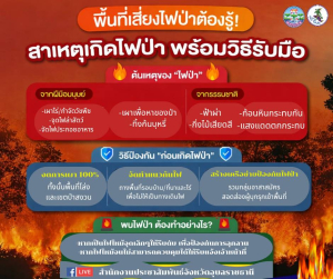 เพราะ "ไฟป่า" ? สร้างความเสียหายรุนแรงกว่าที่คิด ทั้งทำลายทรัพยากรธรรมชาติ ? และเป็นต้นเหตุของฝุ่นควัน  ❗️