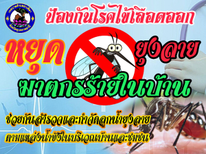 การป้องกันไข้เลือดออก